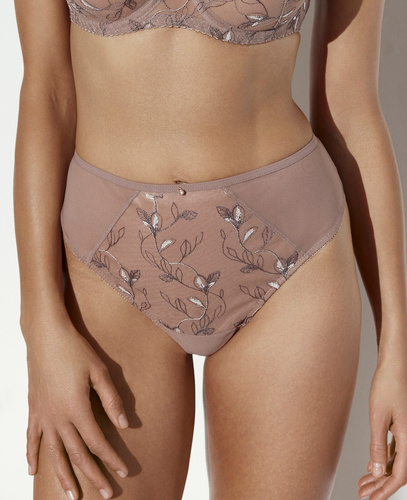 Ava 2274/B Mousse Бразильські трусики з вишивкою, сітка, мікрофібра